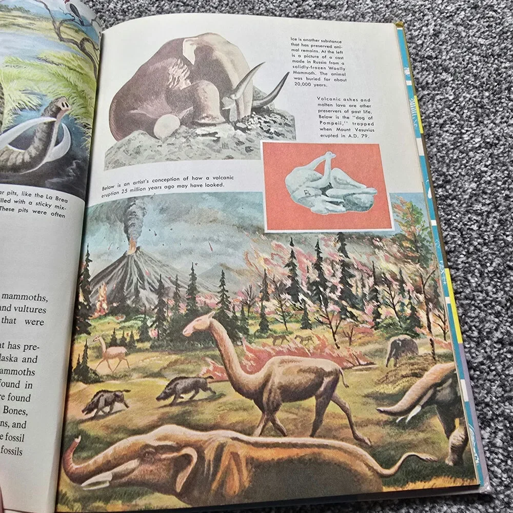 62 Vintage Prehistoric Mammals Children's Book